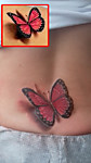 БАБОЧКА ТАТУ
